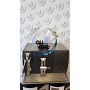 Schaerer CELEBRATION BCL 3